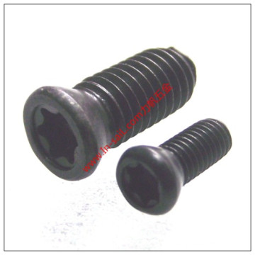 Quincunx Slot Countersunk Head Screws